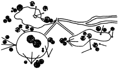 Sporting Clays Layout