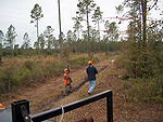 Aenea Vignutti and his Coach hunting quail.